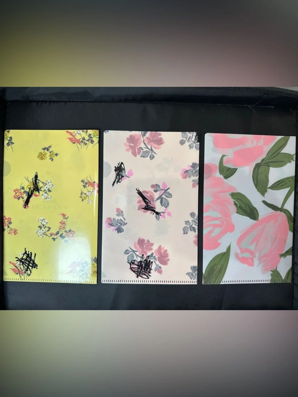 COACH Japan Exclusive  Mini Clear File Folder Set (3) – Floral PVC – A5 Size EUC